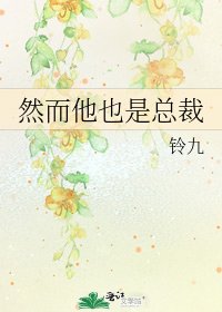 然而他也是总裁