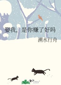 《娶我,是你赚了好吗》