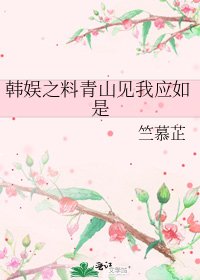 《韩娱之料青山见我应如是》