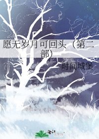愿无岁月可回头（第二部）