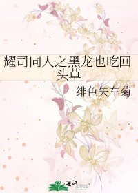 耀司同人之黑龙也吃回头草