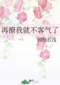 《再撩我就不客气了》