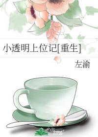 小透明上位记[重生]