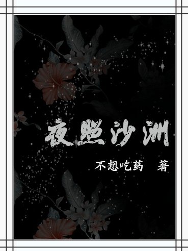 《夜照沙洲》