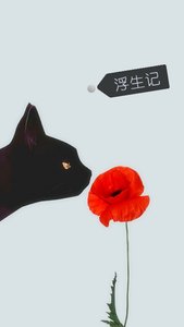 《浮生记》