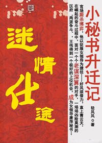 《小秘书升迁记:迷情仕途()》