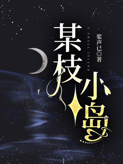 某枝小岛