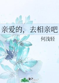 《亲爱的,去相亲吧》