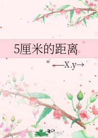 《5厘米的距离》