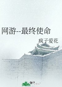 《网游--最终使命》