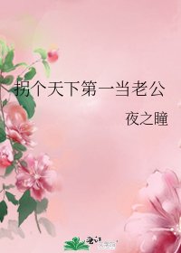《拐个天下第一当老公》