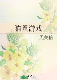 《猫鼠游戏》