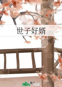 《世子好婿》