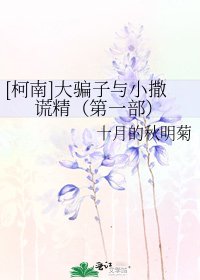 [柯南]大骗子与小撒谎精（第一部）