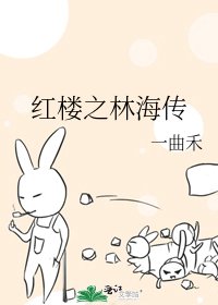 《红楼之林海传》