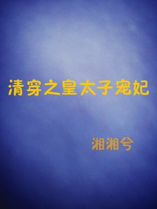 《清穿之皇太子宠妃》