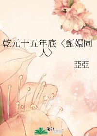 《乾元十五年底〈甄嬛同人〉》