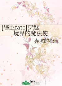 [综主fate]穿越境界的魔法使