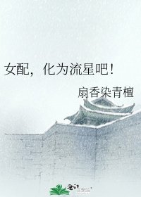 《女配,化为流星吧!》