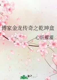 《傅家金龙传奇之乾坤盒》