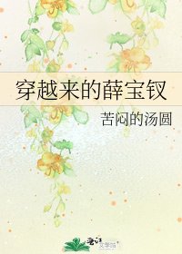穿越来的薛宝钗