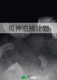 《男神追捕计划》