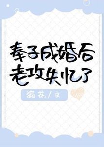 《奉子成婚后老攻失忆了》