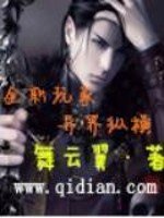 《全职玩家异界纵横》