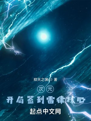 《次元:开局签到雷律核心》