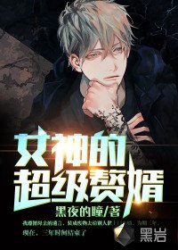 《女神的超级赘婿》
