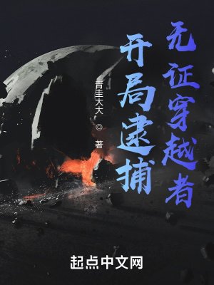 《开局逮捕无证穿越者》