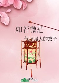 《如若微茫》