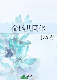 《命运共同体》