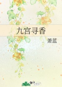 九宫寻香