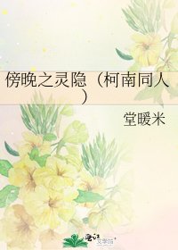 傍晚之灵隐（柯南同人）