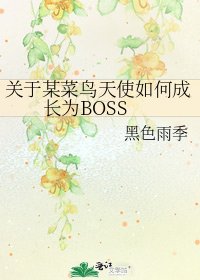 《关于某菜鸟天使如何成长为BOSS》