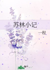 《苏林小记》