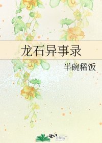 《龙石异事录》