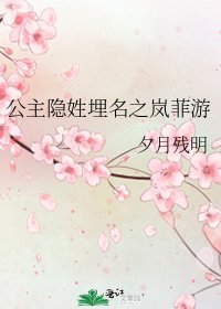 《公主隐姓埋名之岚菲游》