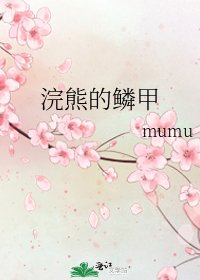 《浣熊的鳞甲》