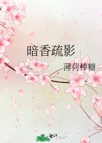 暗香疏影