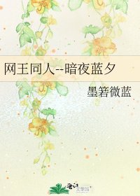 《网王同人--暗夜蓝夕》