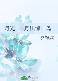 《月光——月出惊山鸟》