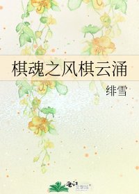《棋魂之风棋云涌》