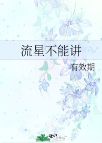 《流星不能讲》