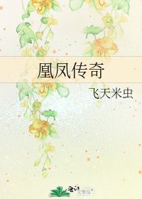 《凰凤传奇》