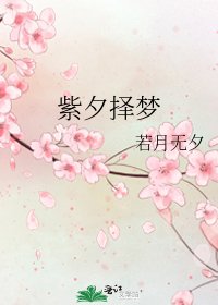 《紫夕择梦》