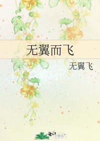 《无翼而飞》