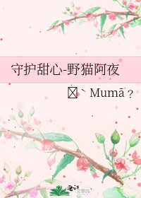 《守护甜心-野猫阿夜》