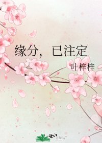 《缘分,已注定》